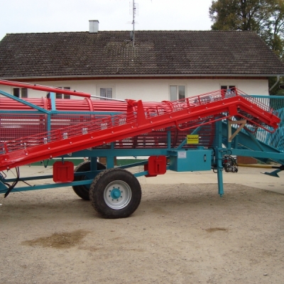 Selleriereinigung (3).JPG