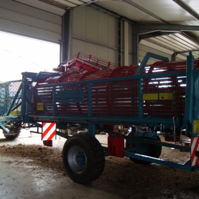 Selleriereinigung (6).JPG