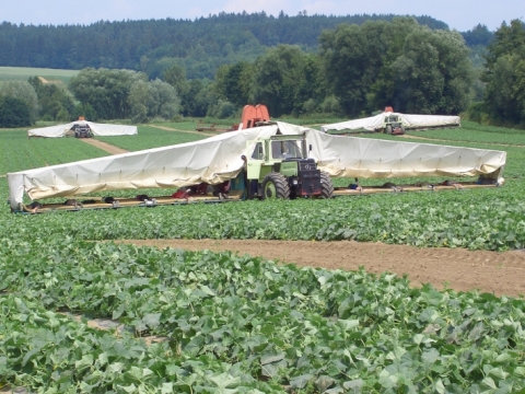 Gurkenflieger